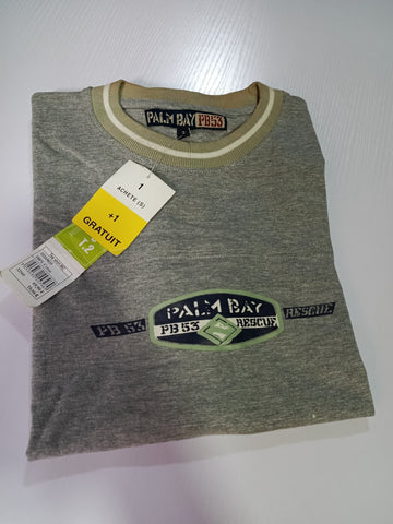 Palm Bay New York Grey Men T shirt