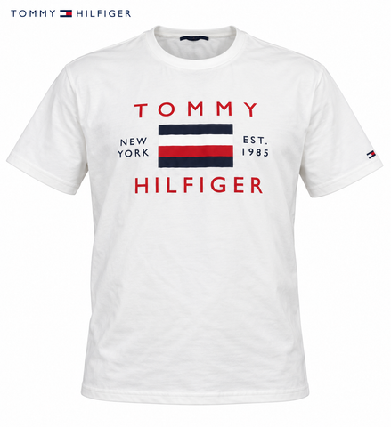 Tommy Hilfiger Men T shirt