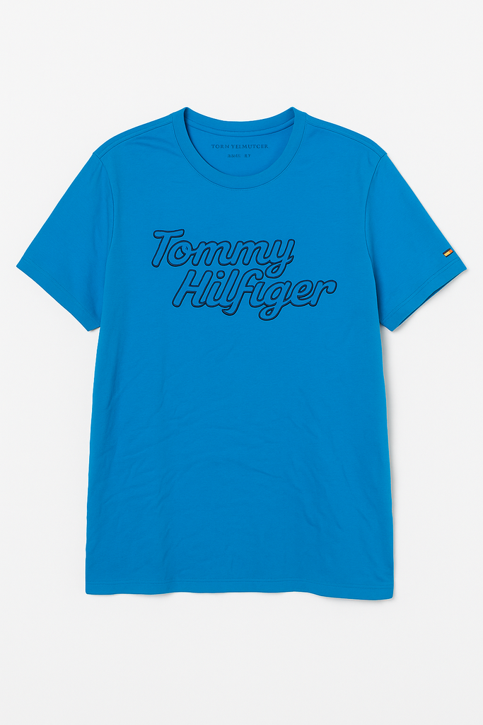 Tommy Hilfiger Men Blue T shirt