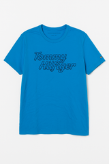 Tommy Hilfiger Men Blue T shirt