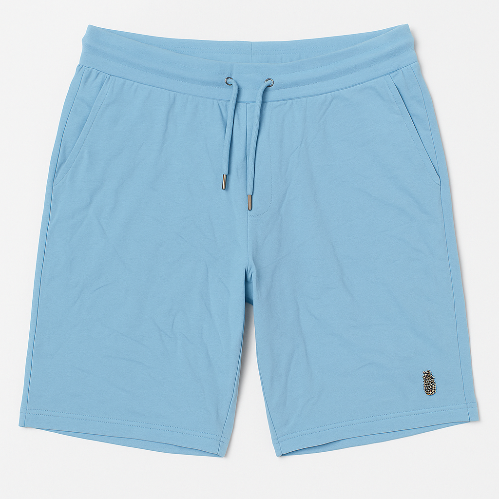 Luke Men Sky Blue Jogging Pant