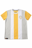 Polo Collection Stripe Men T shirt