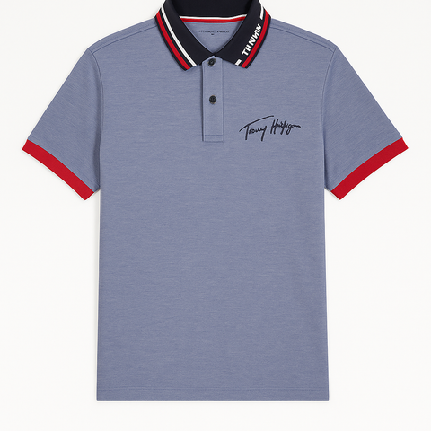 Tommy Hilfiger Men Blue Polo