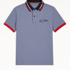 Tommy Hilfiger Men Blue Polo
