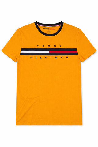 Tommy Hilfiger Men T shirt