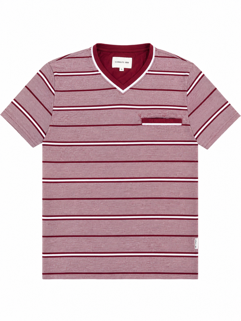Cerruti 1881 Men Stripe V neck