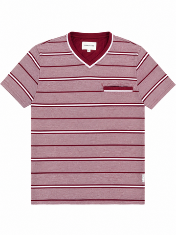 Cerruti 1881 Men Stripe V neck