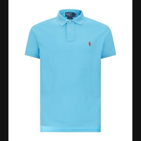 Men Sky blue Small Pony RL Polo